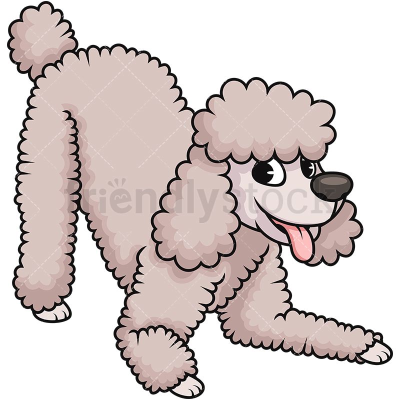 Cheerful cream poodle clip. Dog clipart beige