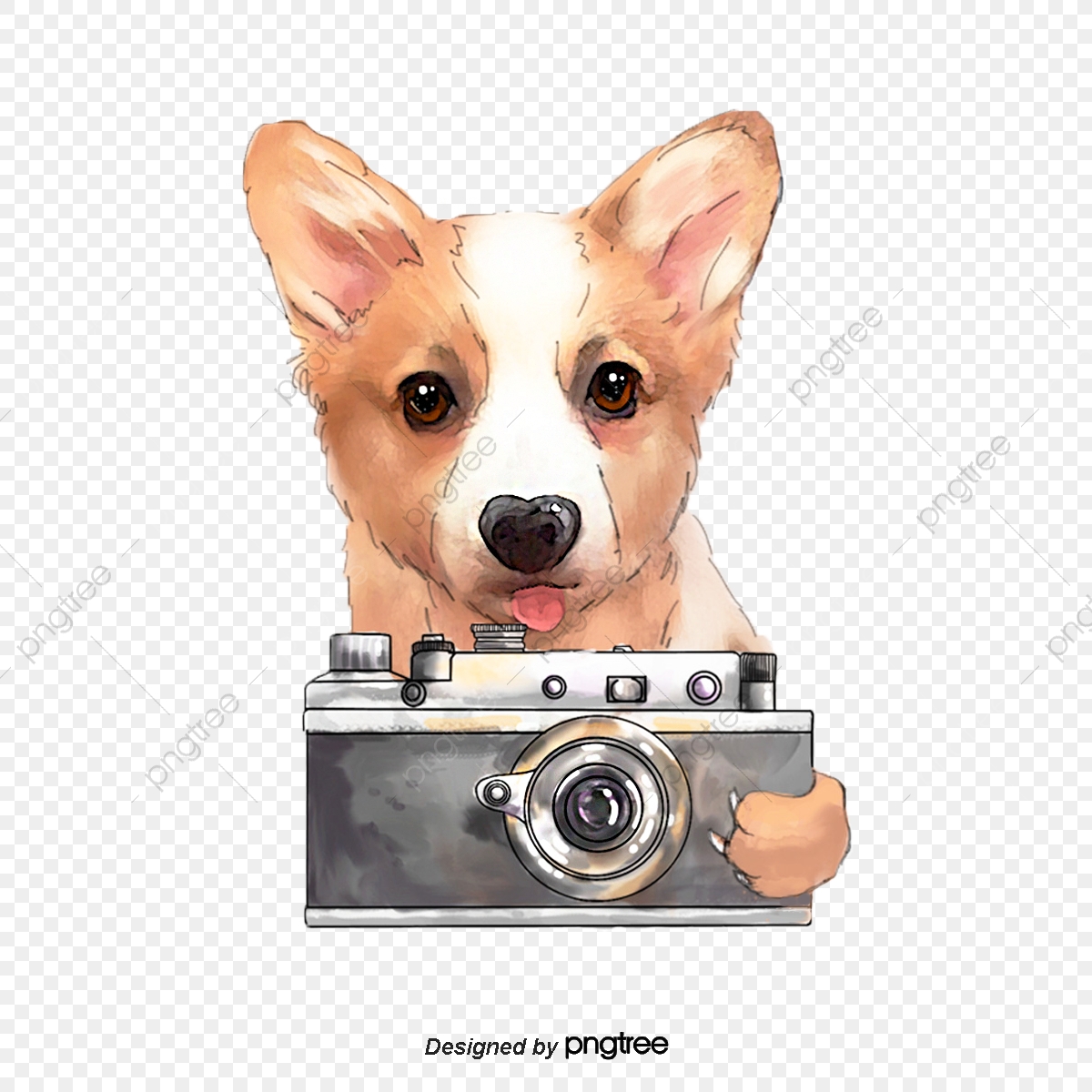 clipart dog camera