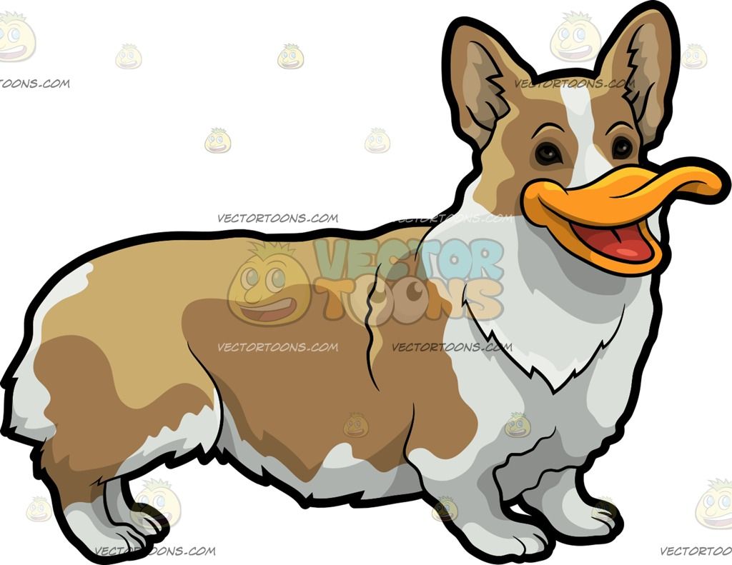 A dog hybrid mutated. Clipart dogs duck