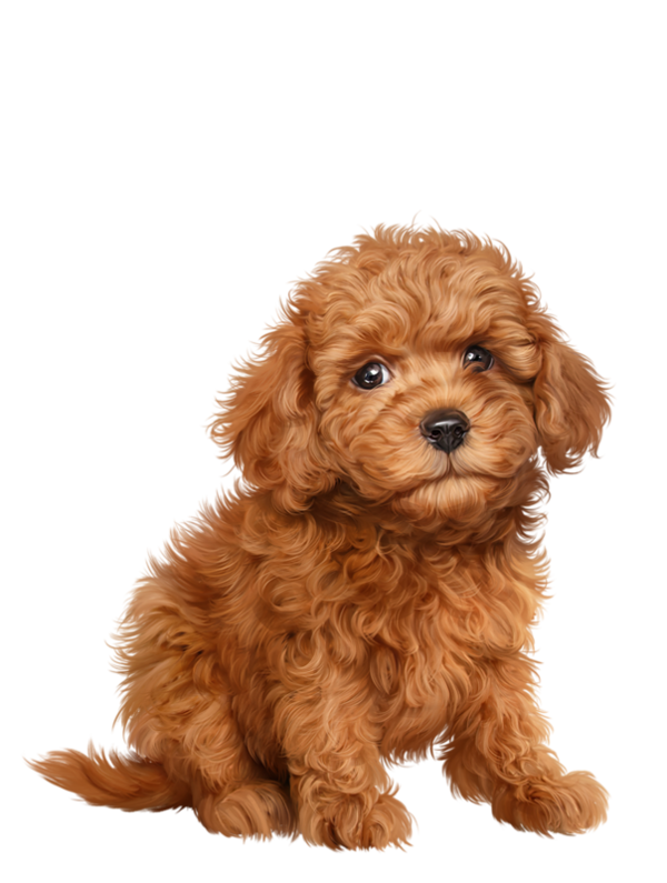 Mother clipart pup. Chiens dog puppies wallpapers