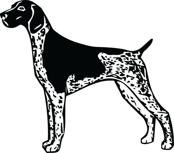 dog clipart gsp