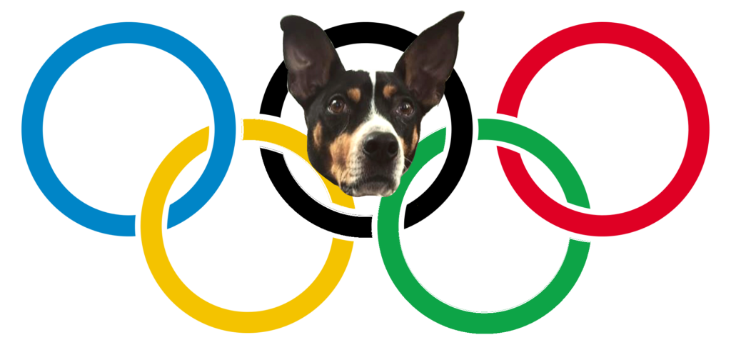 Clipart dogs ice skating. Future of winter olympics