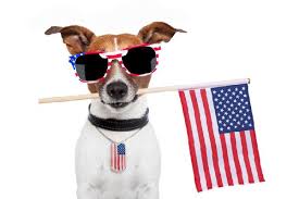 clipart dog memorial day