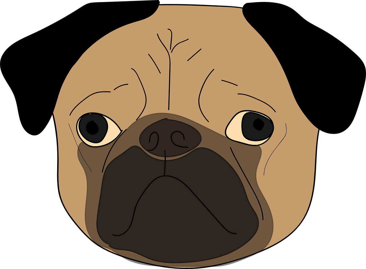 Puppy breed toy clip. Clipart dog pug