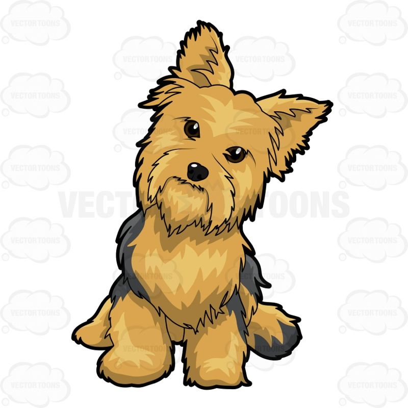 pets clipart yorkie