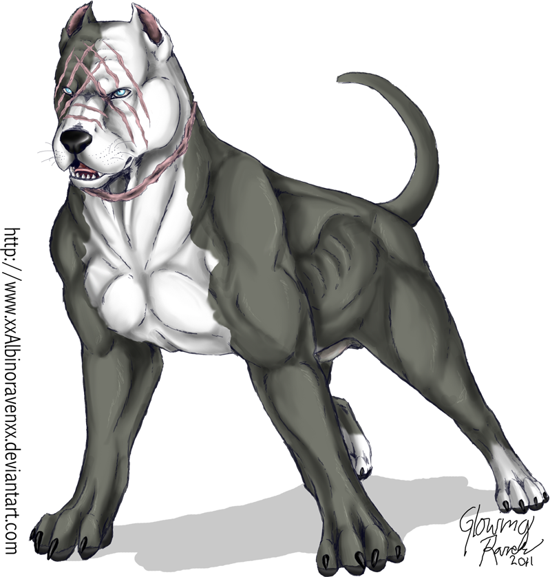 muscles clipart muscle dog