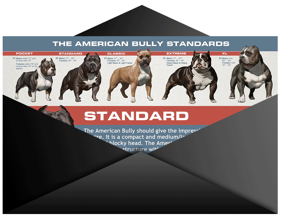 clipart dogs american bully