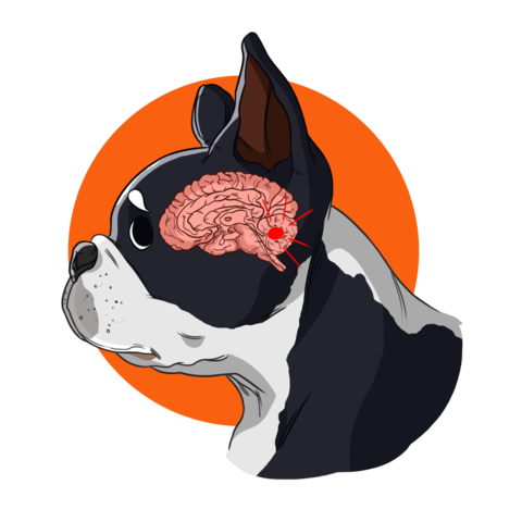 dogs clipart brain
