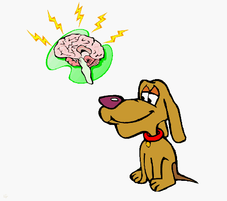 clipart dogs brain