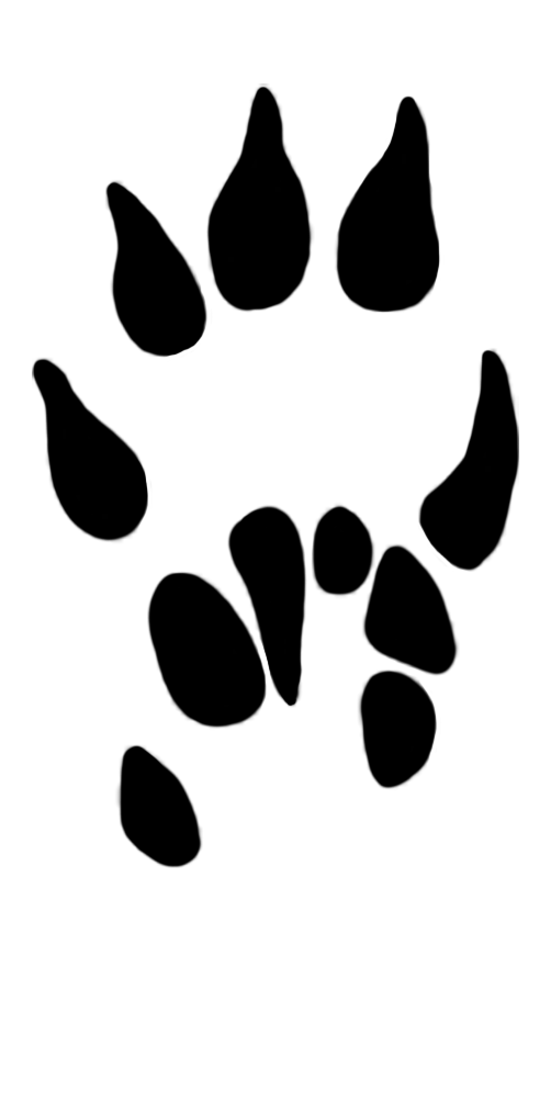 paws clipart dog foot