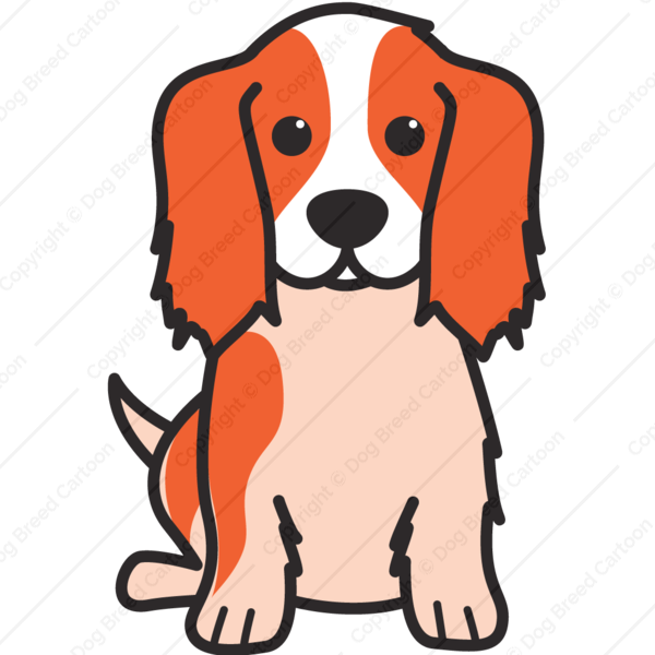 head clipart cocker spaniel