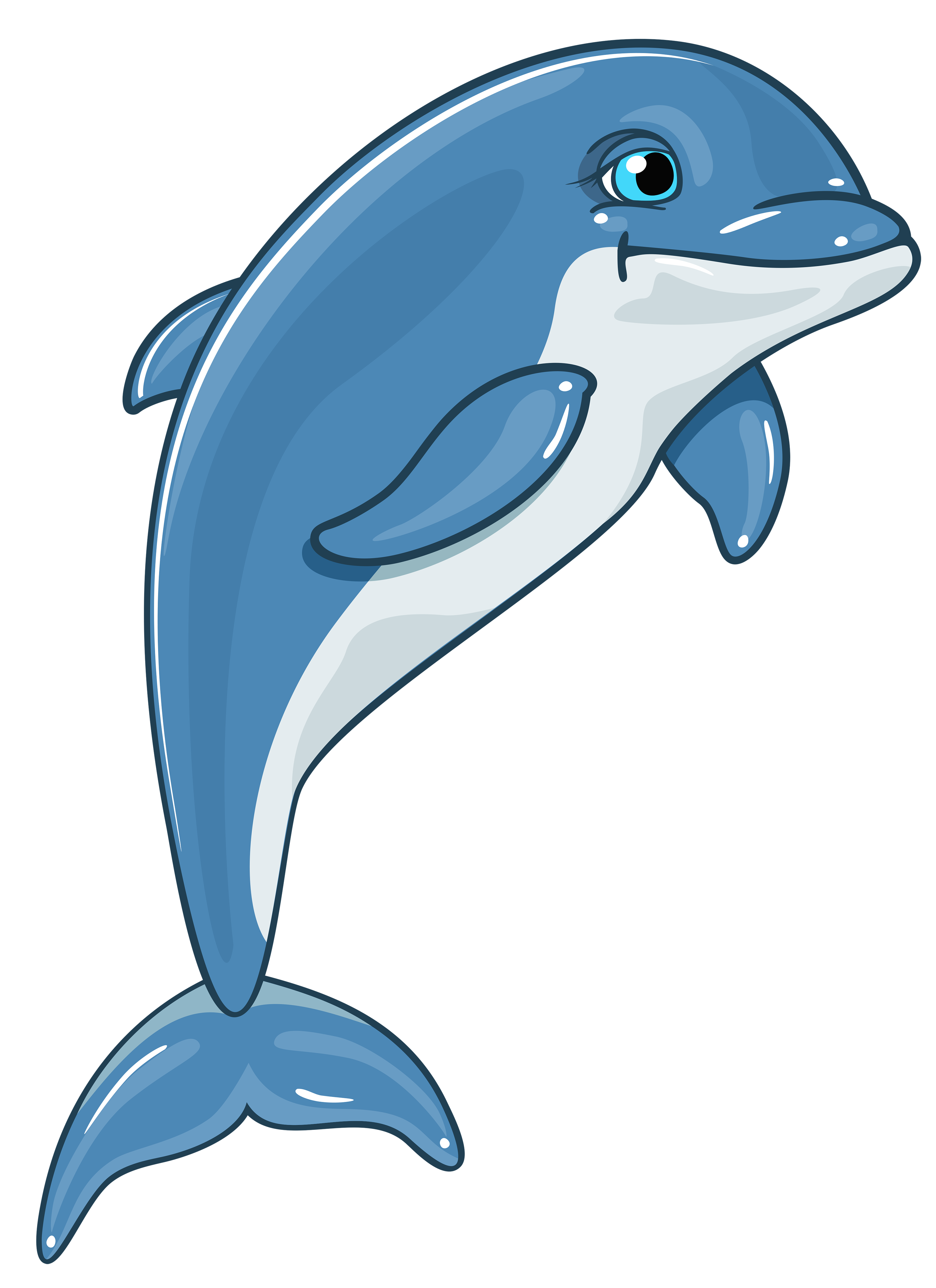 sad clipart dolphin