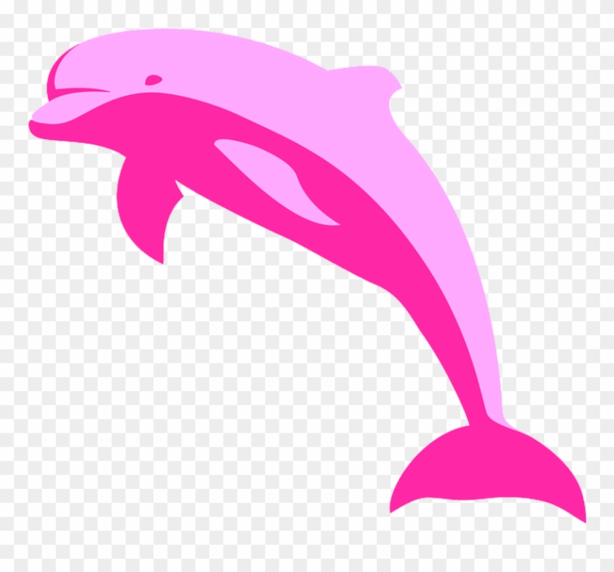 clipart dolphin amazon river dolphin