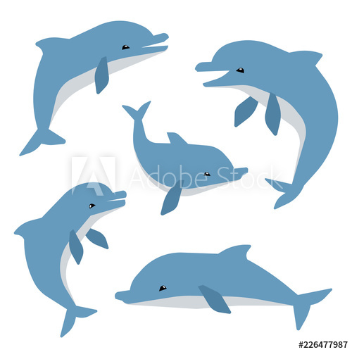 Clipart dolphin animal sea nz. Cute dolphins in different