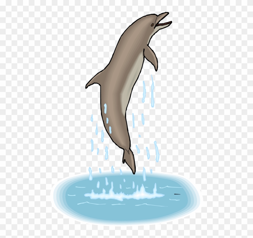 Dance gif png pinclipart. Dolphin clipart animated dancing