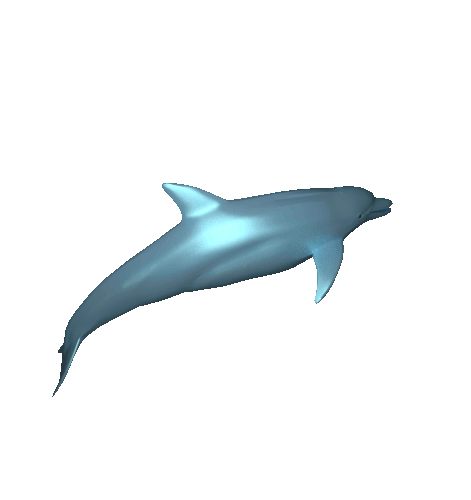 dolphin clipart animation