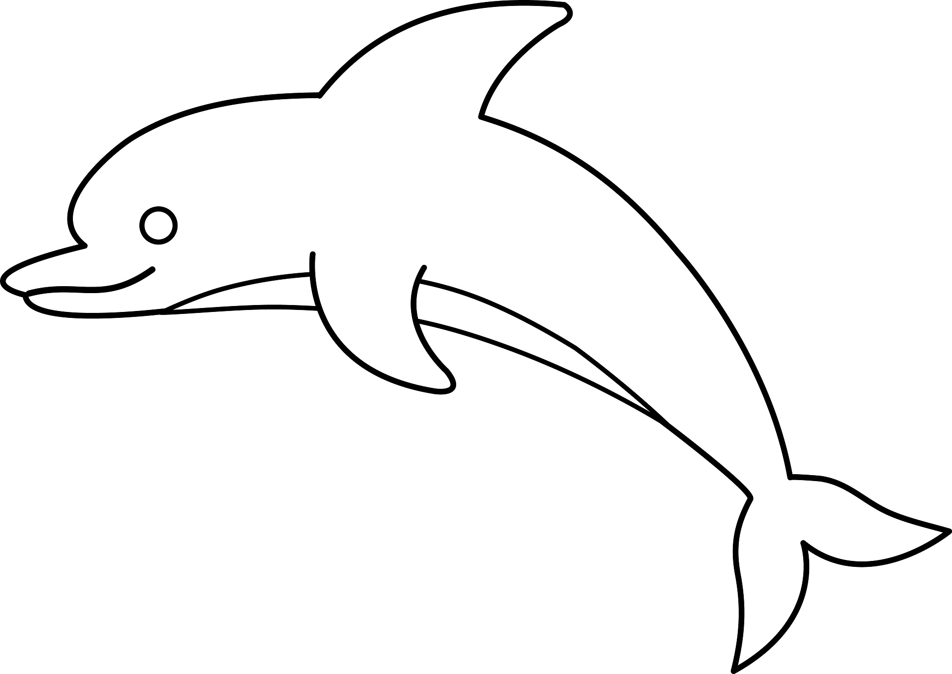 dolphins clipart black and white
