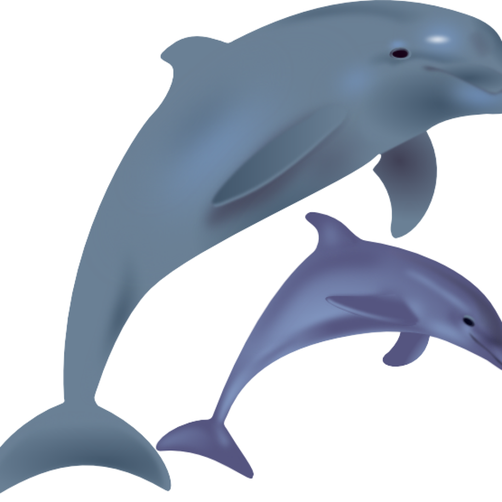 dolphin clipart kid
