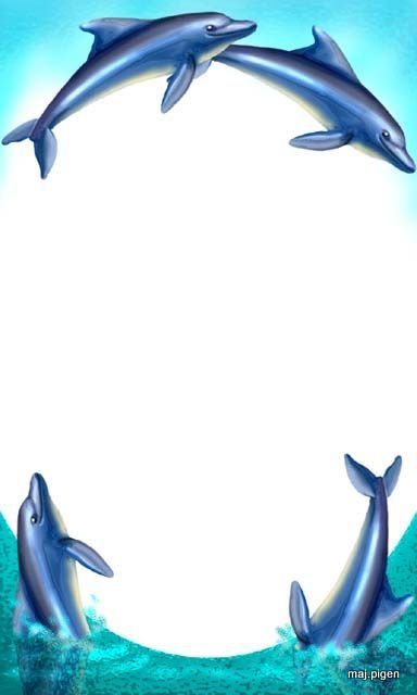Dolphins clipart border. Dolphin frame whales sharks