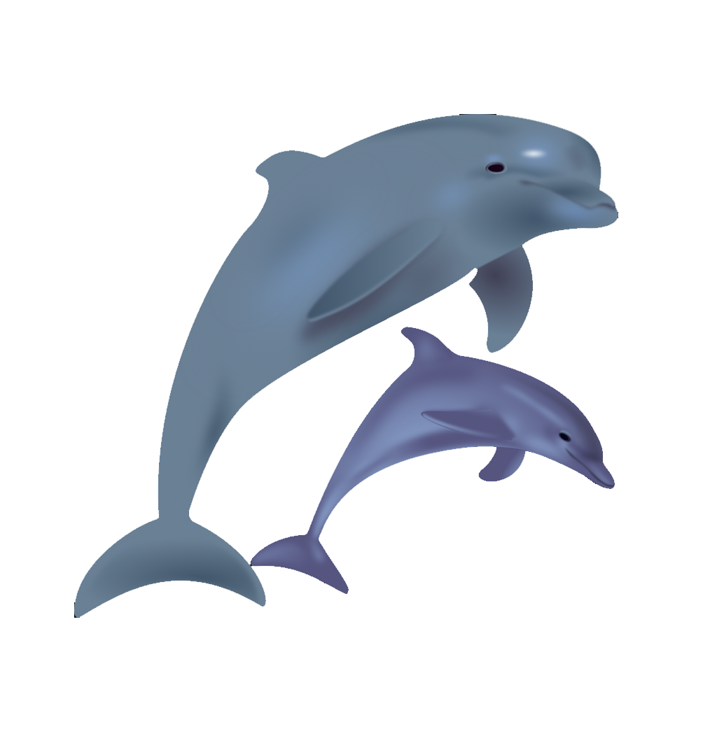 Clip art cartoon jump. Dolphins clipart bottlenose dolphin