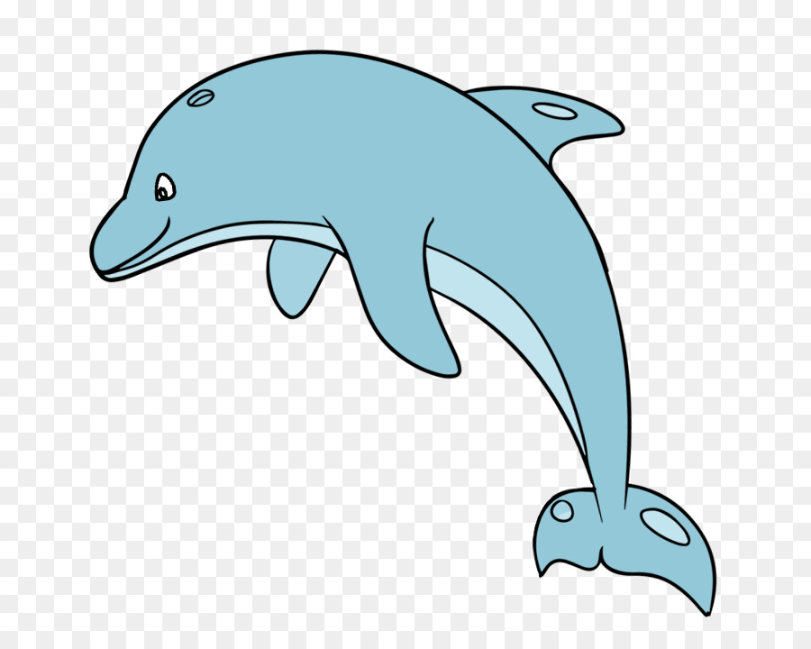 Animal cartoon dolphin transparent. Dolphins clipart carton