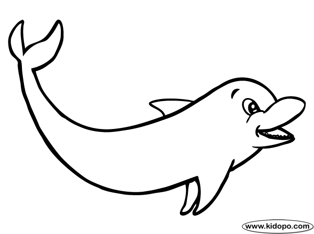 clipart dolphin coloring page