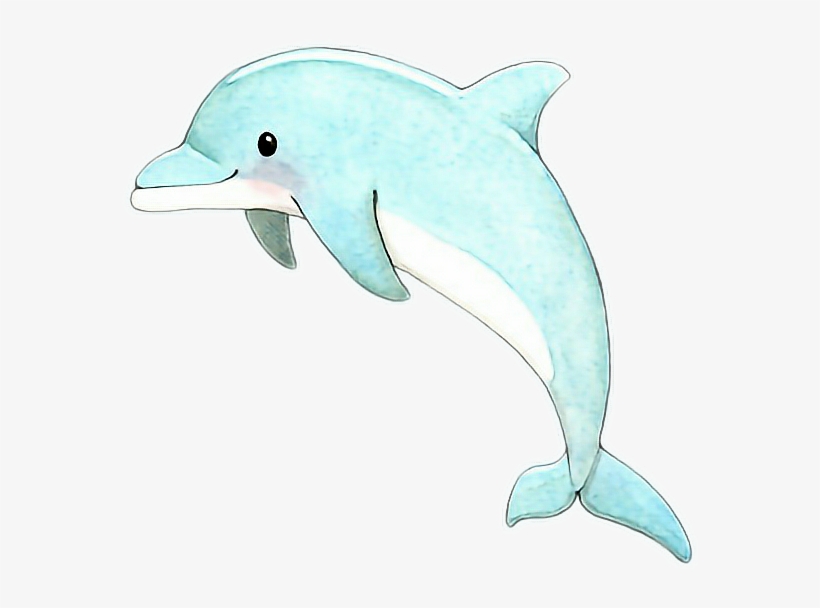 clipart dolphin cute anime