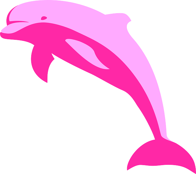 Purple clipart dolphin. Top interesting facts about