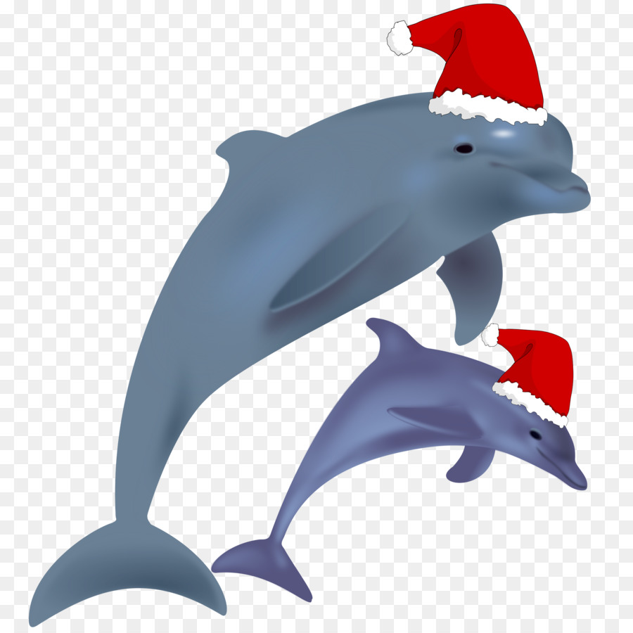 clipart dolphin dolphin animal