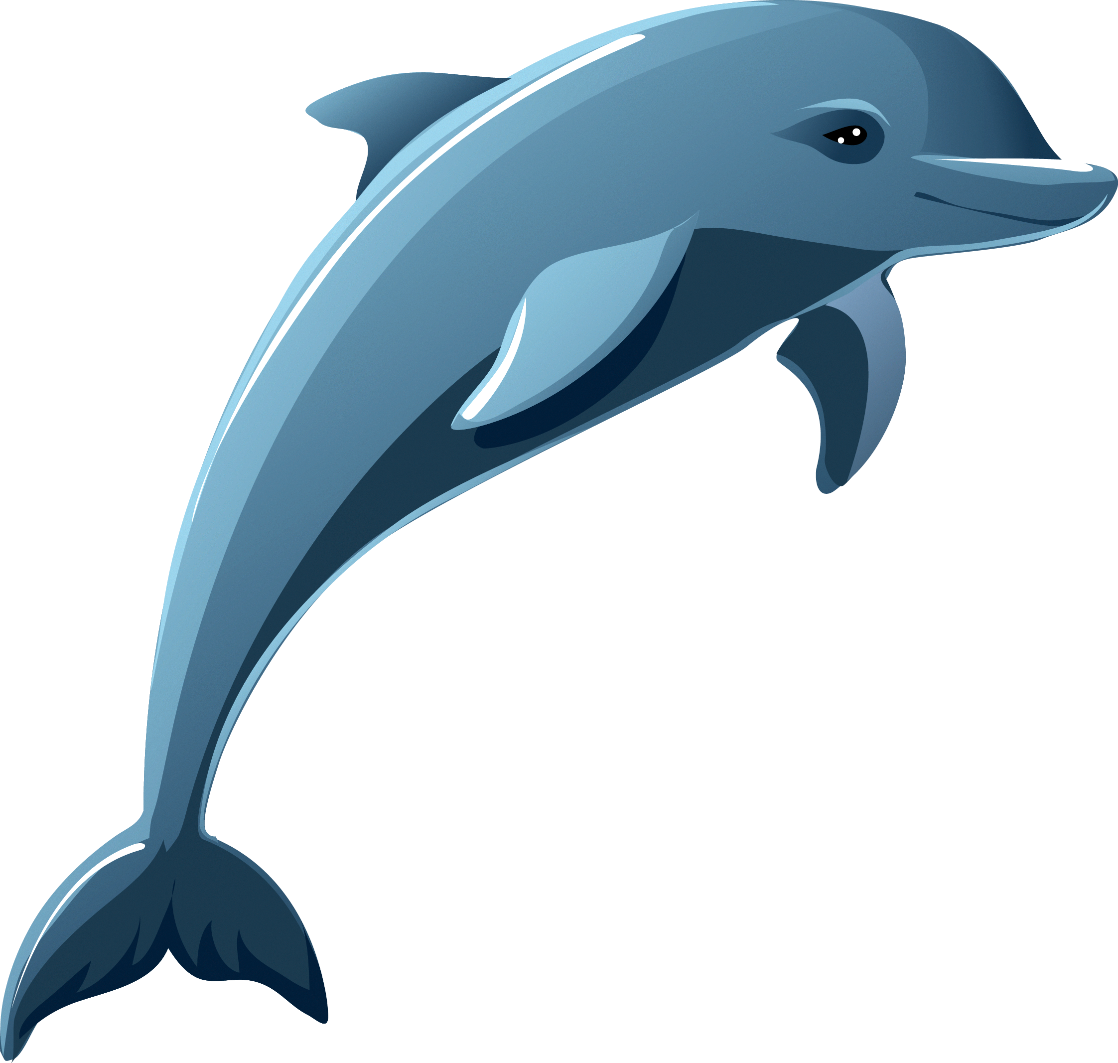 clipart dolphin dolphin animal