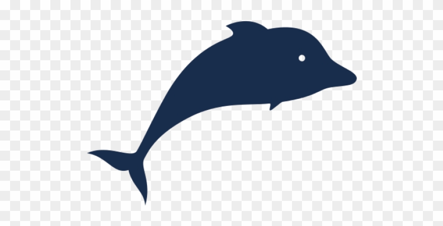 clipart dolphin dolphin face