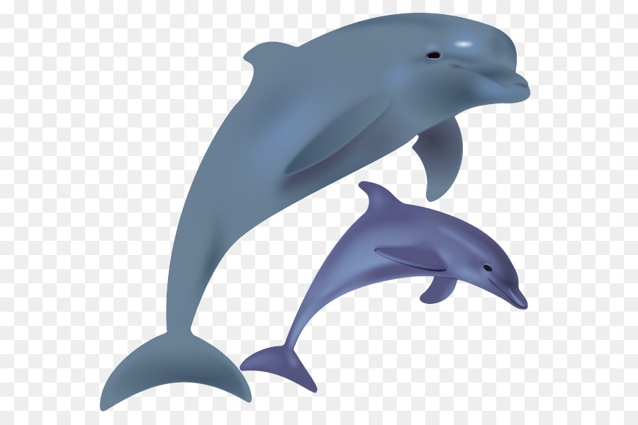 Cartoon graphics transparent . Dolphins clipart dolphin family