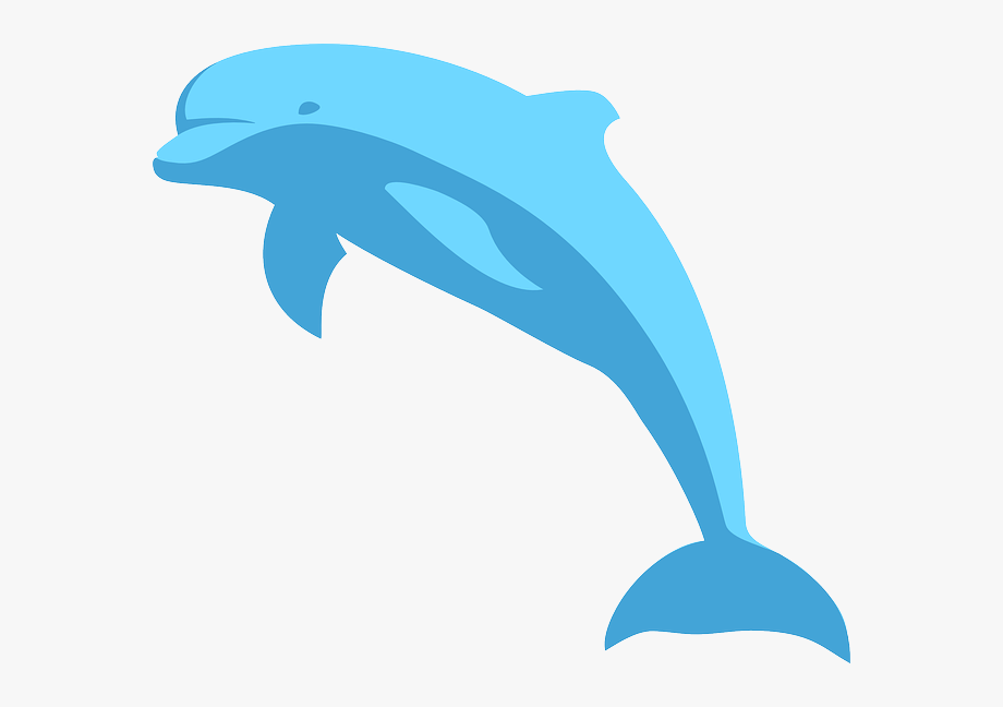 dolphin clipart blue dolphin