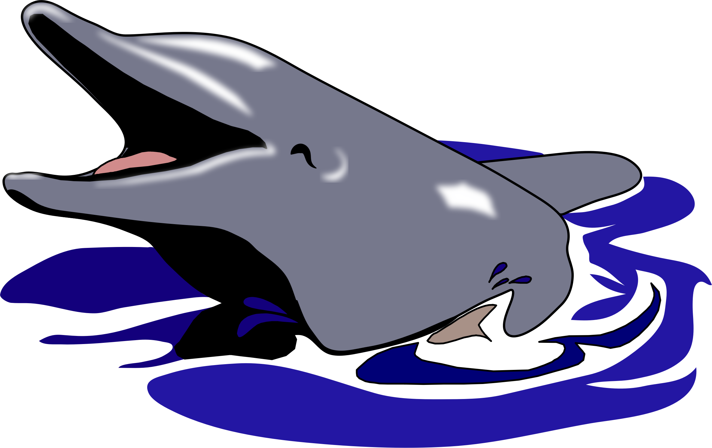 clipart dolphin dolphin love