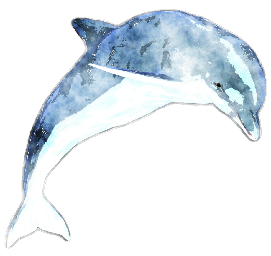 Watercolor by lavandalu on. Clipart dolphin dolphin mascot