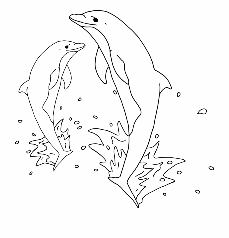 dolphins clipart dolphin outline