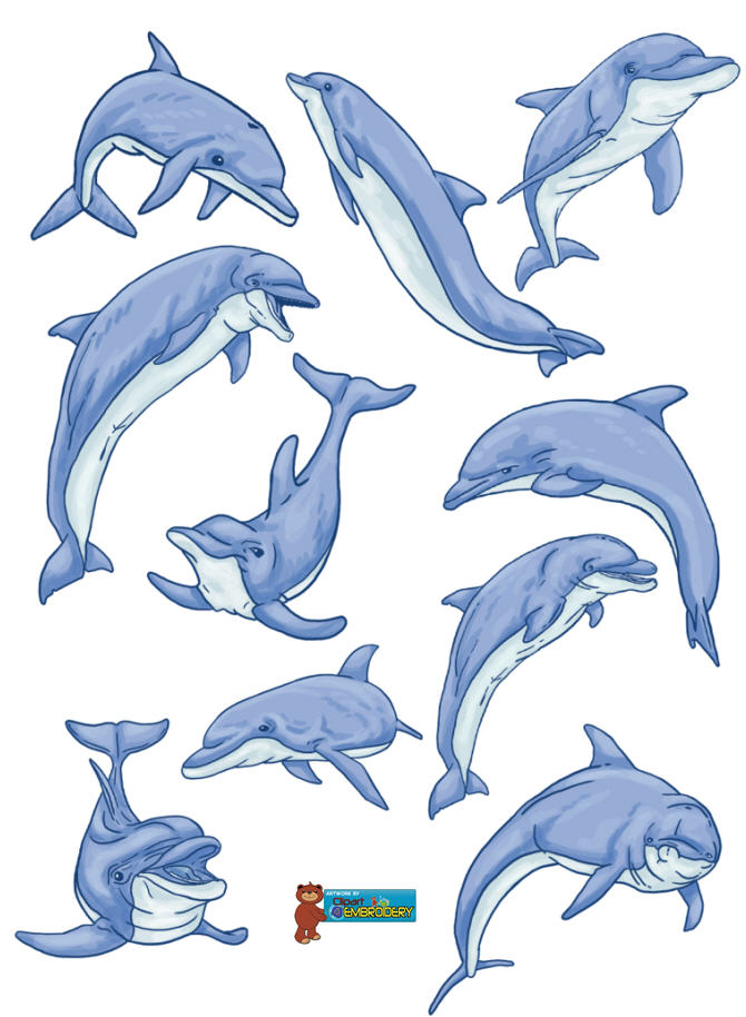 clipart dolphin dolphin pod