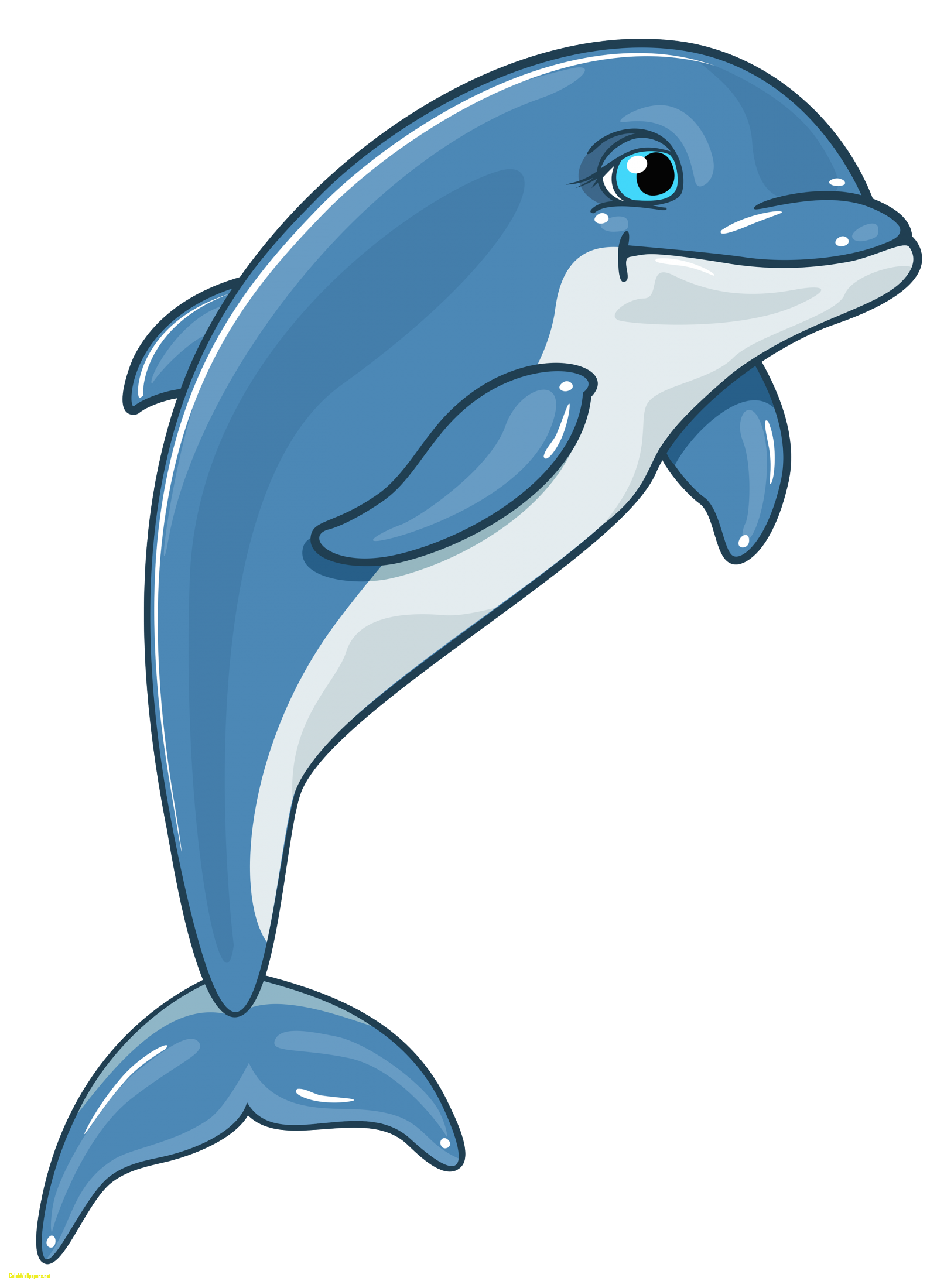 Dolphins clipart cute anime. Dolphin images png best