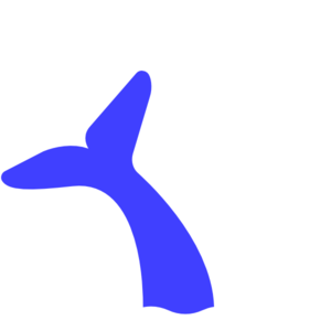 clipart whale tail