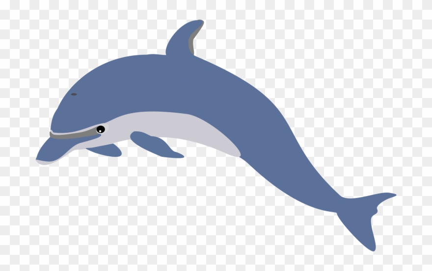 clipart dolphin dolphin trainer