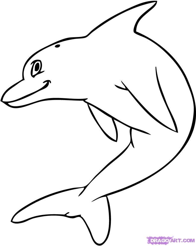 dolphin clipart drawable