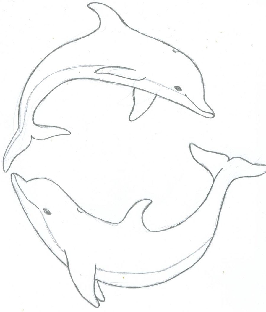 clipart dolphin drawing