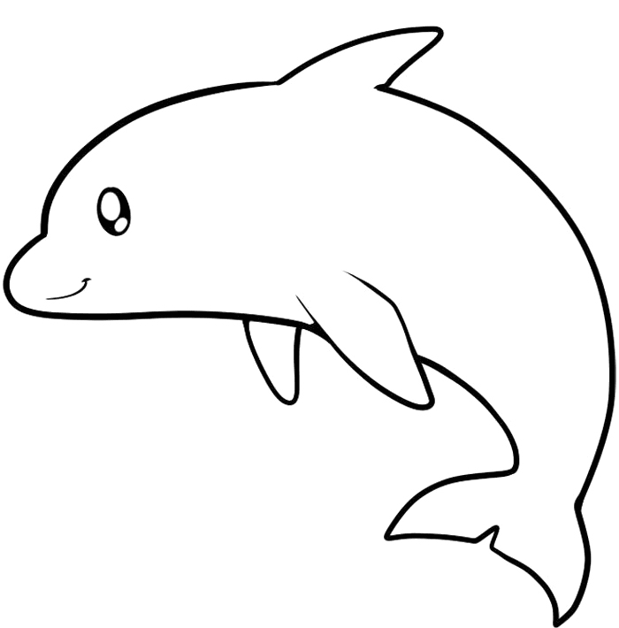 dolphins clipart kid