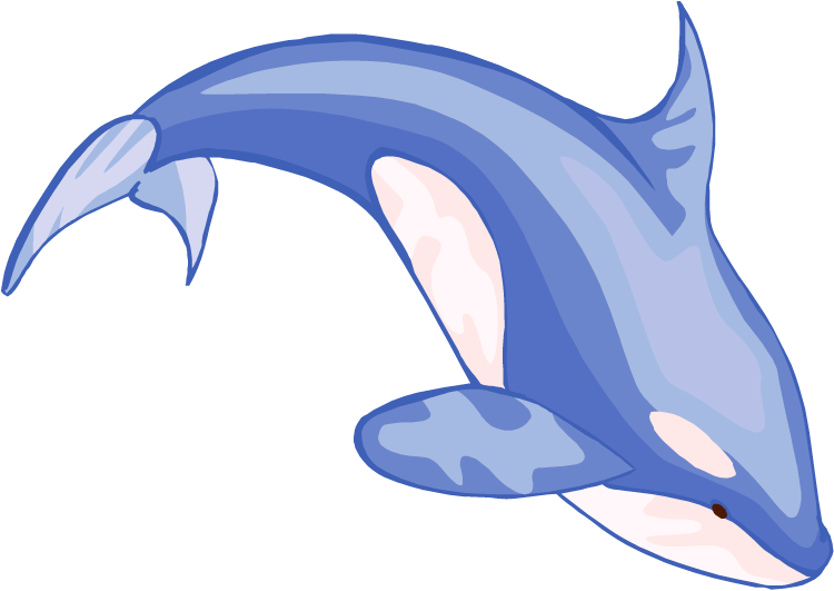 clipart dolphin flipper