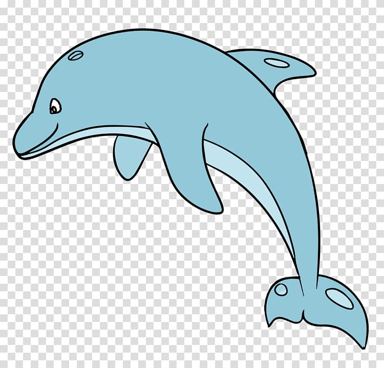 clipart dolphin flipper