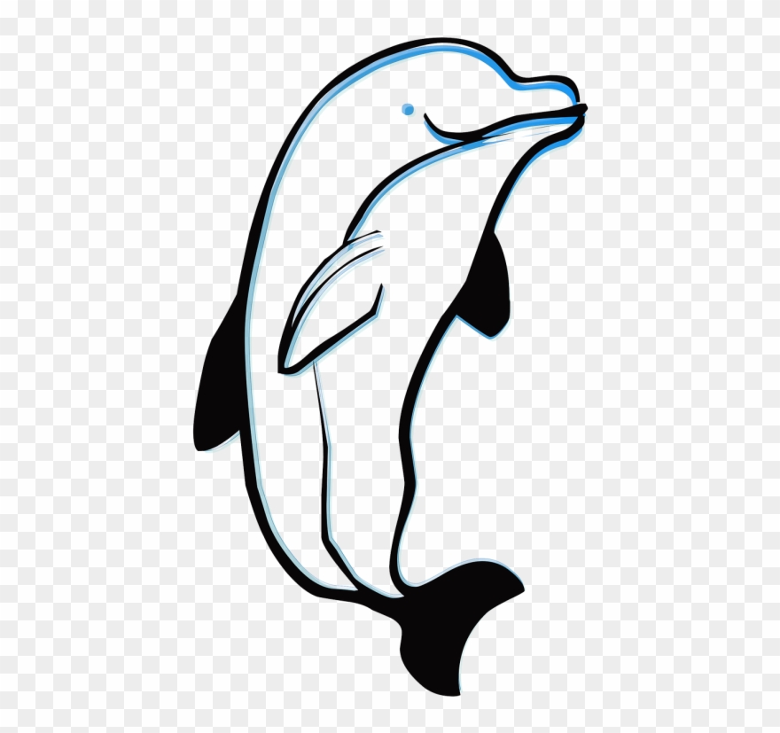 Dolphins clipart flipper. Clip art png download