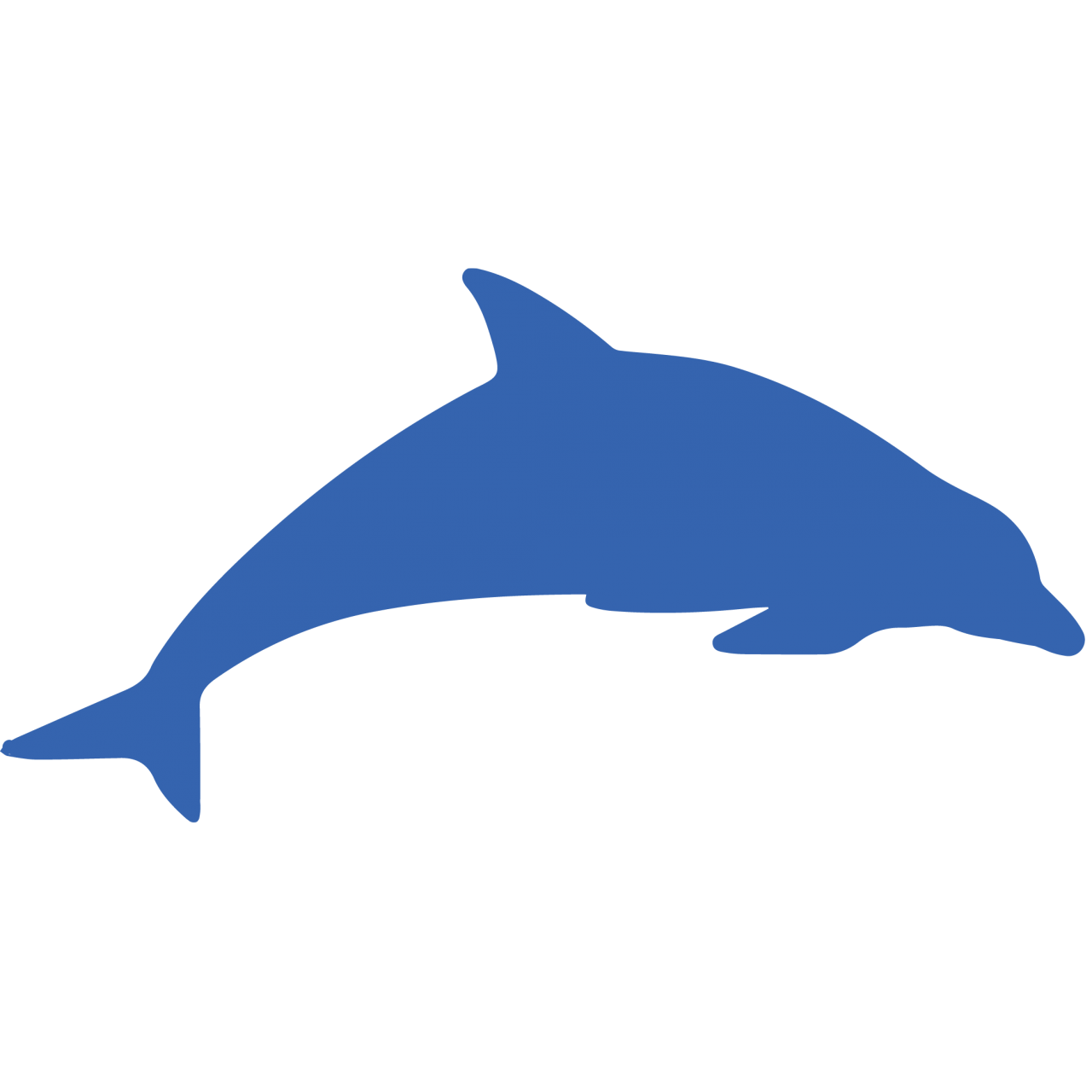 dolphin clipart friendly dolphin