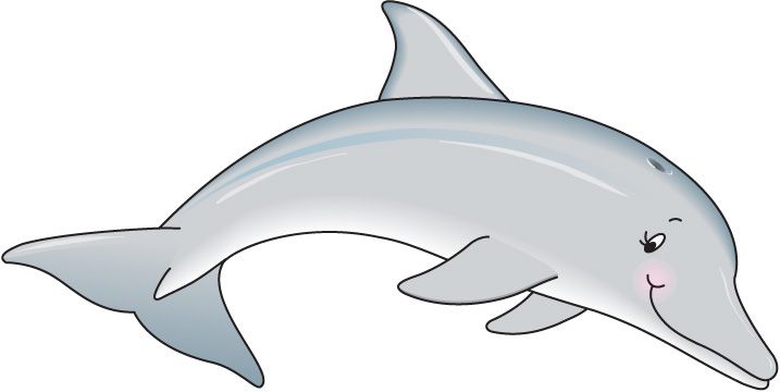 Dolphin clipart grey dolphin. Pin by jennifer pinho