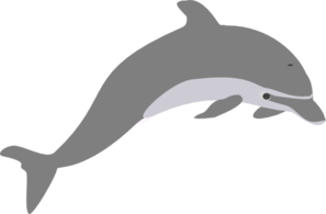Outline clip art at. Dolphin clipart grey dolphin