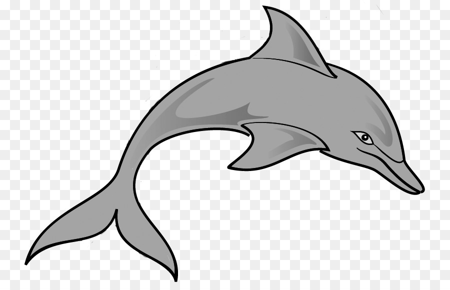 clipart dolphin grey dolphin